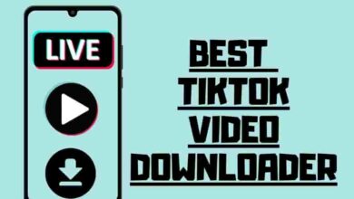 best tiktok video downloader