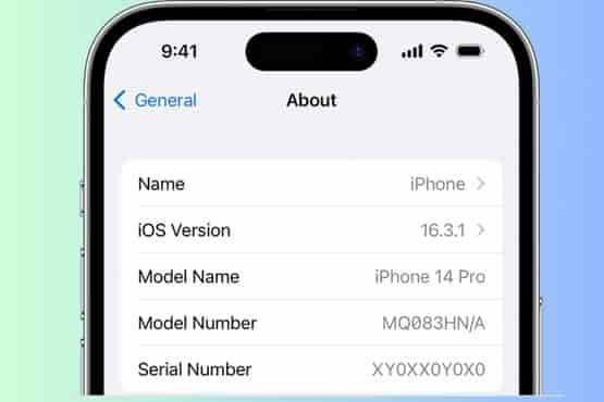 Additional Information about IMEI Numbers