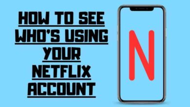 how to see who's using your netflix