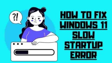 Fix Windows 11 Slow Startup Error