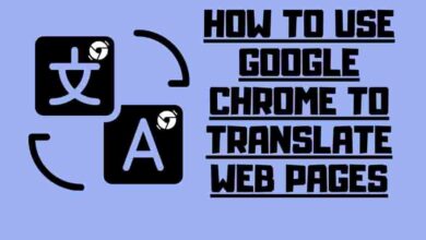 Google Chrome to Translate Web Pages