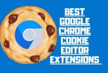 Google Chrome Cookie Editor Extensions