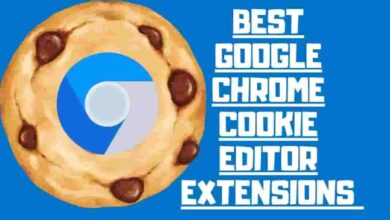 Google Chrome Cookie Editor Extensions