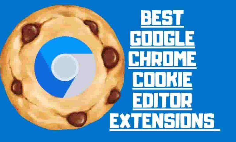 Google Chrome Cookie Editor Extensions